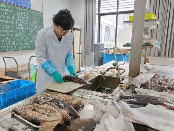 图1 研究人员对鱿鱼进行清洗、鉴种.jpg