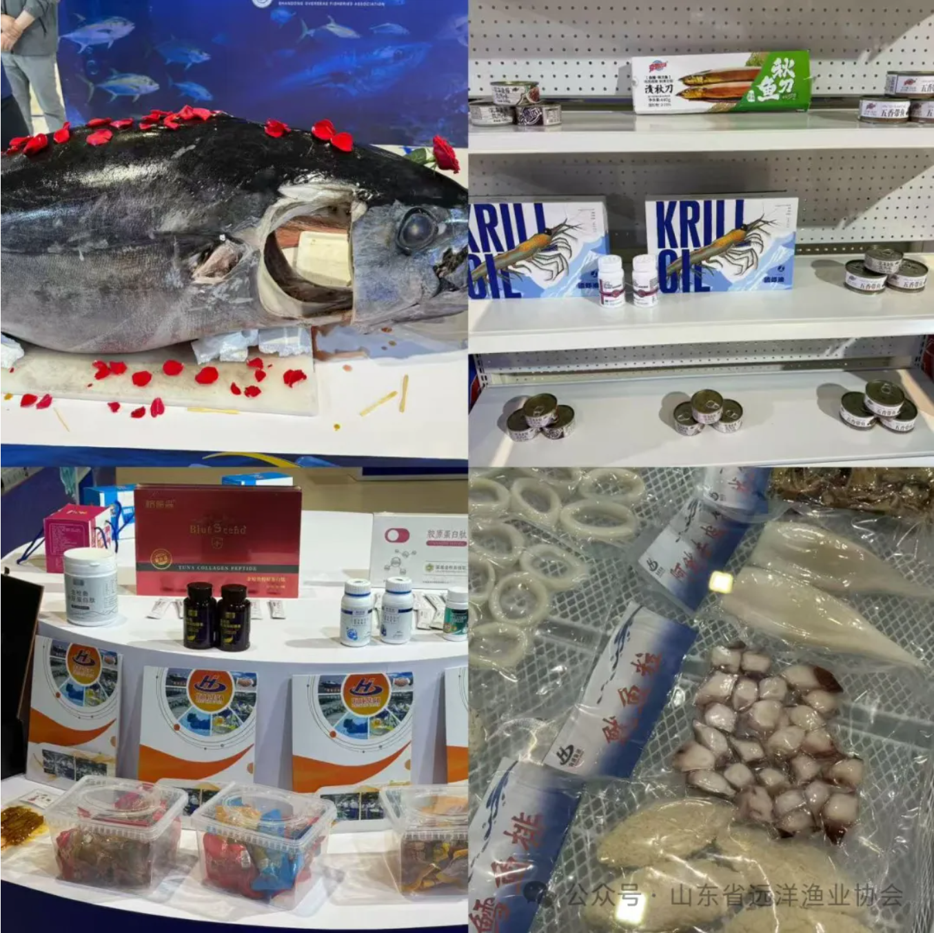 1747153488960049377.png 1747153488960049377.png